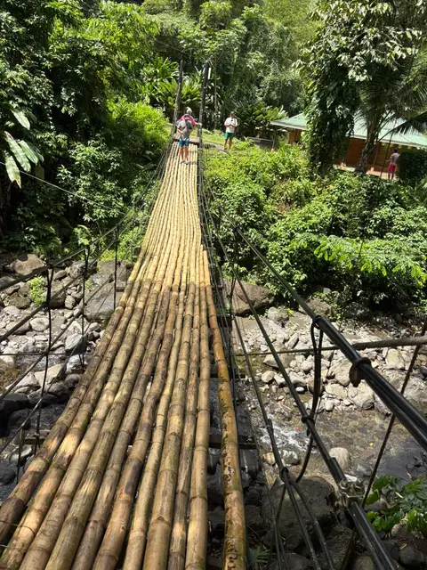 Bamboo suspension bridge over a rocky rainforest river