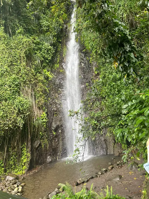 Tall waterfall dropping through lush rainforest